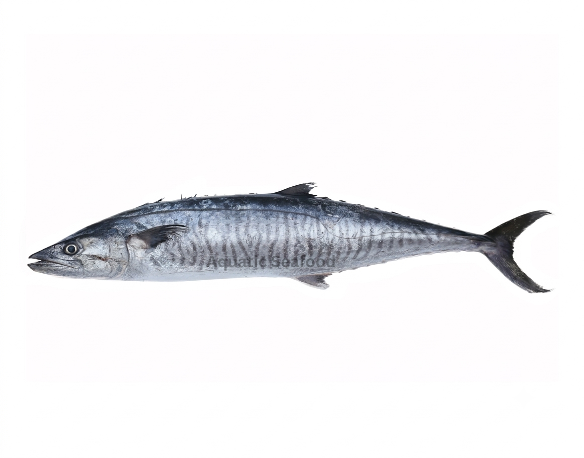 Kingfish ( Surmai )