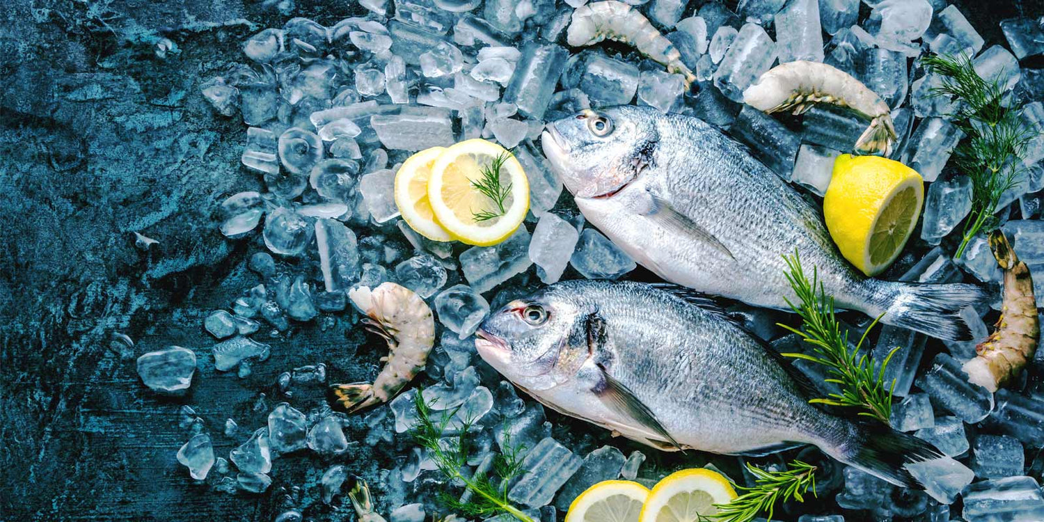 Sea Water Fish