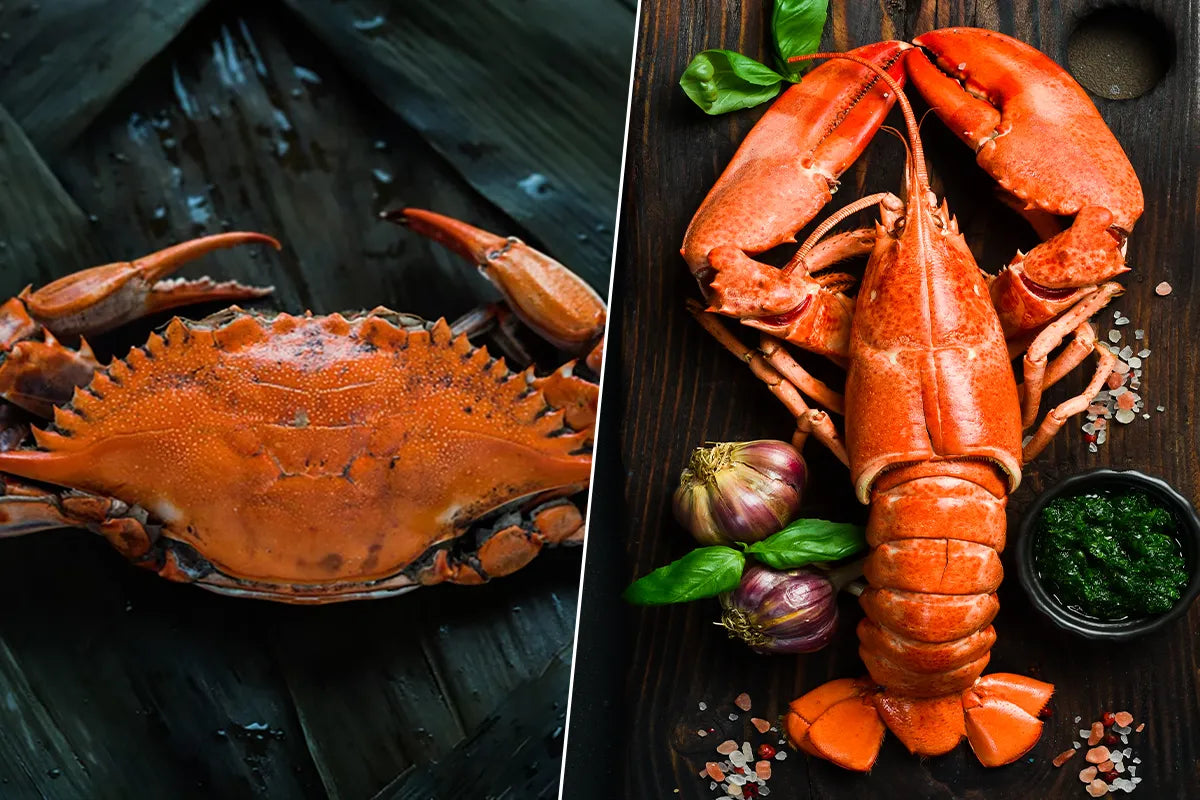 Lobsters & Crabs