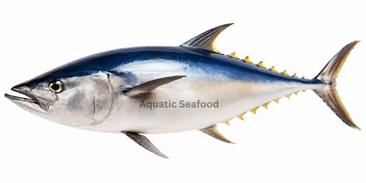 Tuna ( Dawan )