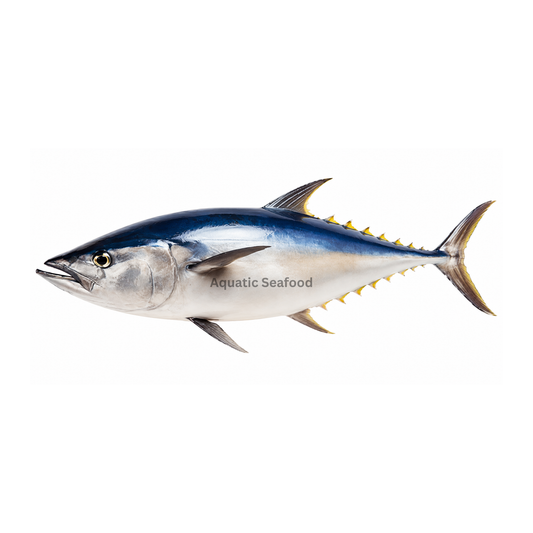 Tuna ( Dawan )