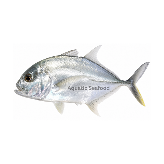 Giant Trevally ( Kakkar )