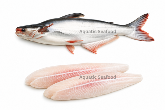 Pangasius Fish ( Pangash )