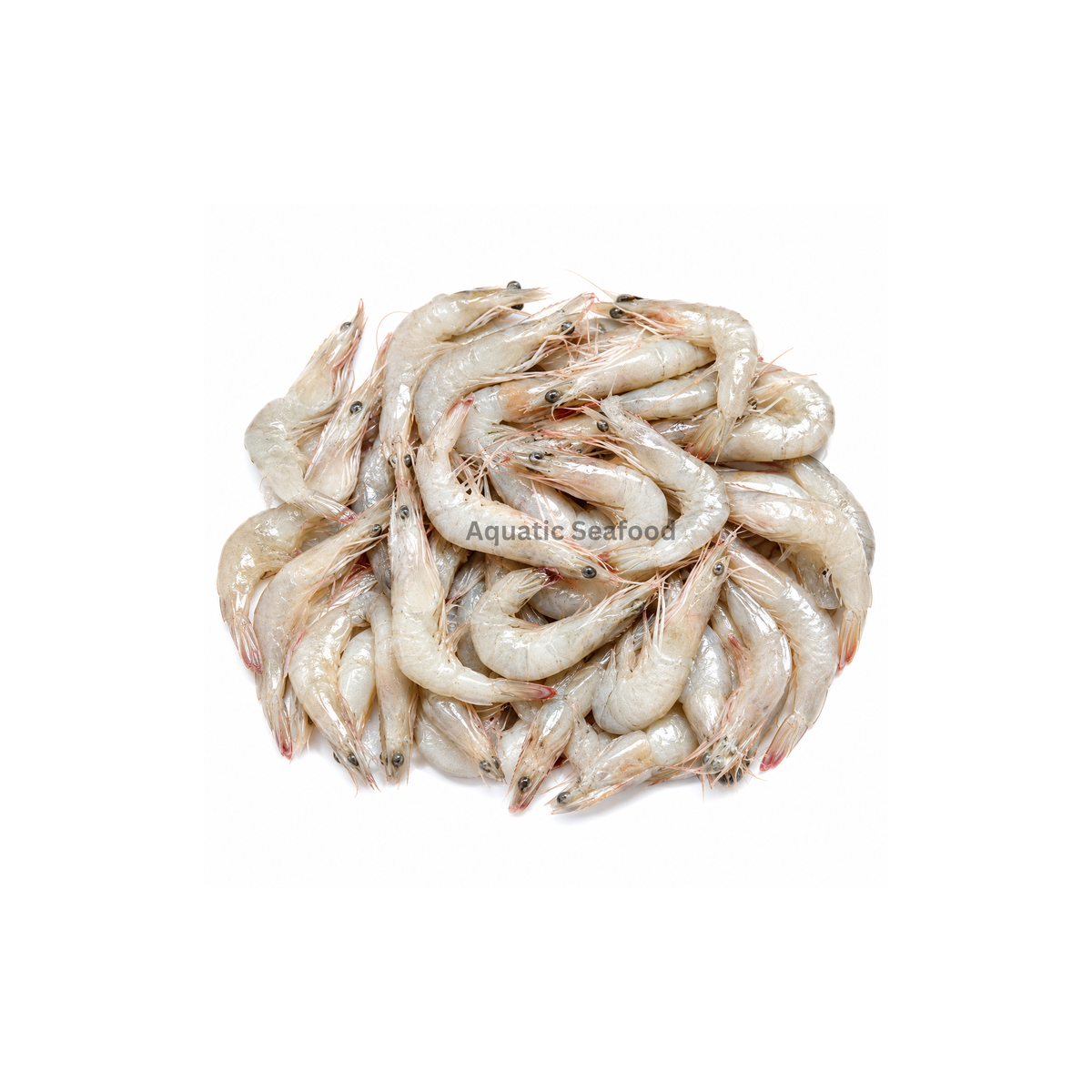 Small Prawns ( Jaira )