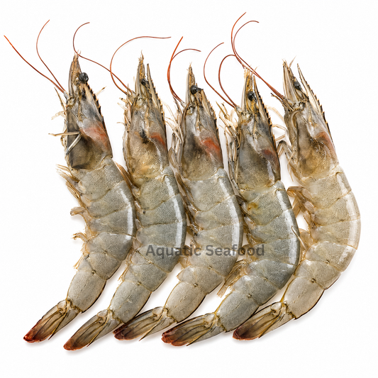 Large Prawns ( Jaira )
