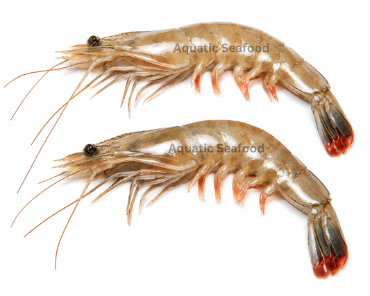 Jambo Prawns ( Jaira )