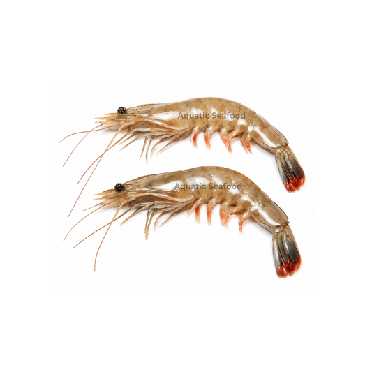 Jambo Prawns ( Jaira )