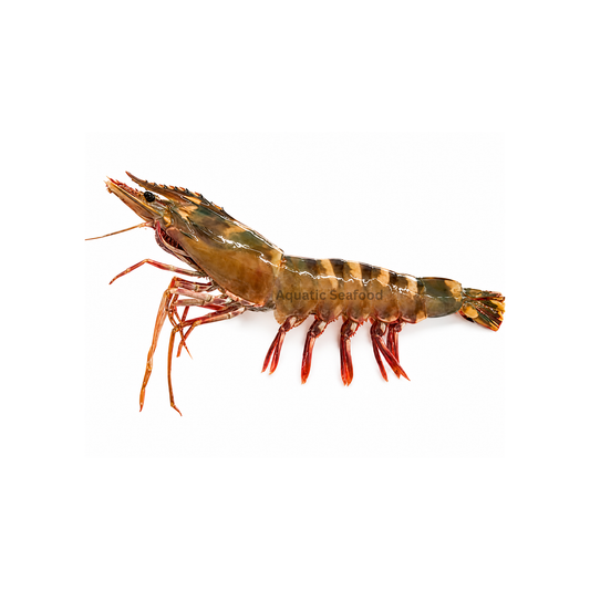 Super Tiger Prawns ( Kaala Tiger )