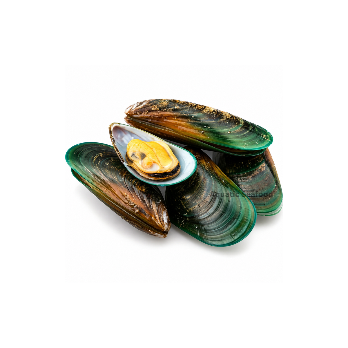 Green Mussels