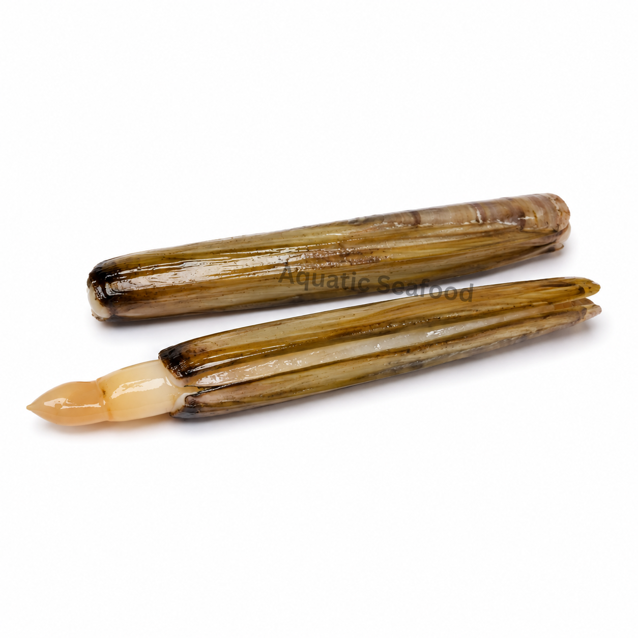 Razor Shell