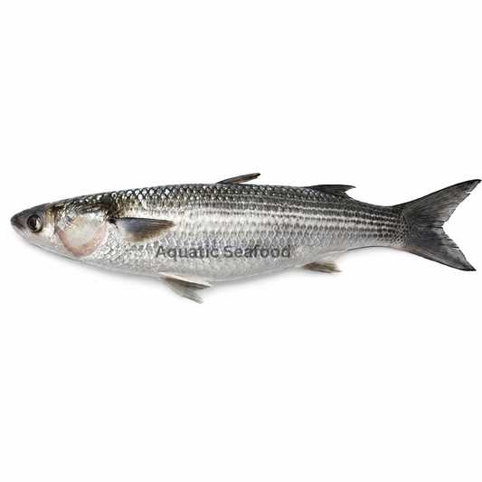 Mullet ( Boi )