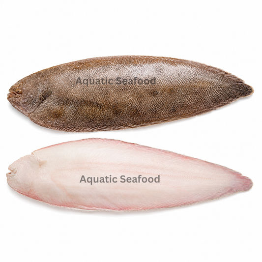 Tongue Fish ( Patti Sole )