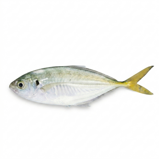Shrimp Scad ( Bakka )