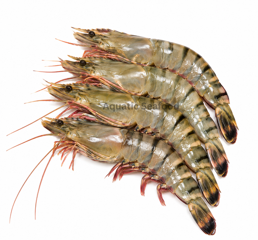 Tiger Prawns ( Kaala Tiger )
