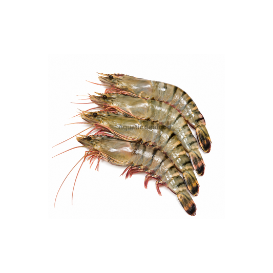 Tiger Prawns ( Kaala Tiger )